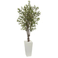 6' Olive Tree in White Tower Planter
