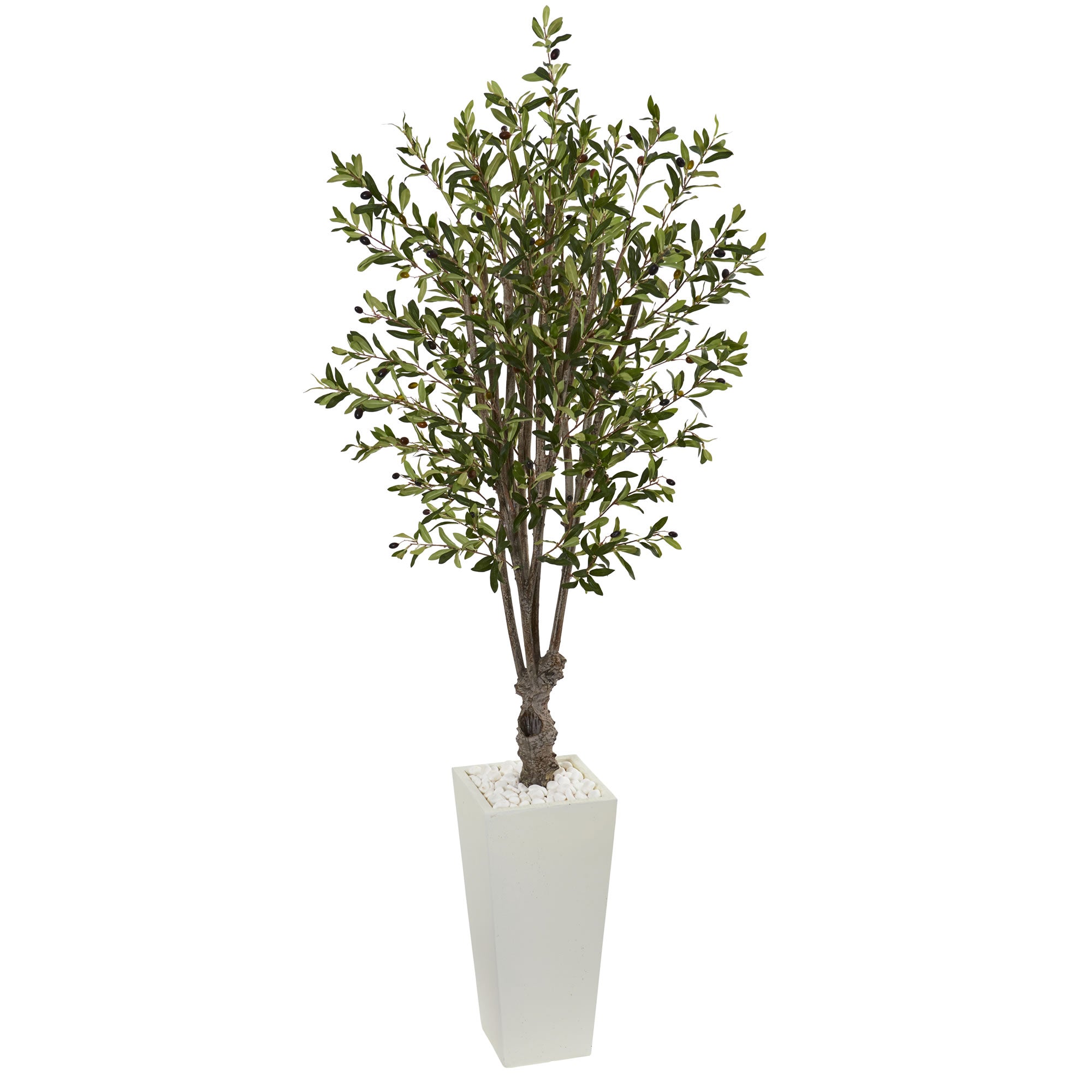 6' Olive Tree in White Tower Planter