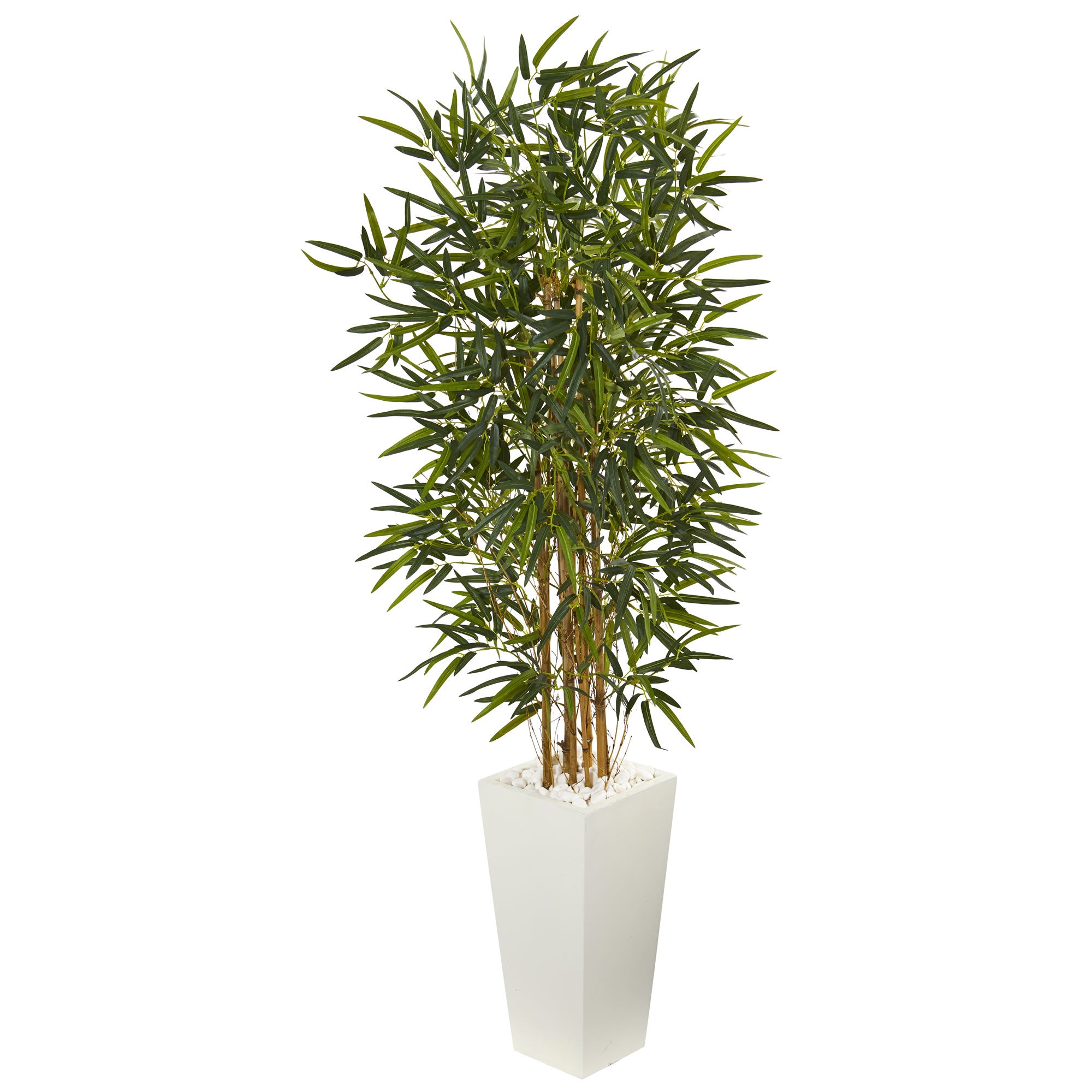 5.5' Bamboo Tree in White Tower Planter