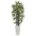 5.5' Black Bamboo Tree in White Tower Planter