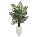 5.5' Areca Palm Tree in White Tower Planter