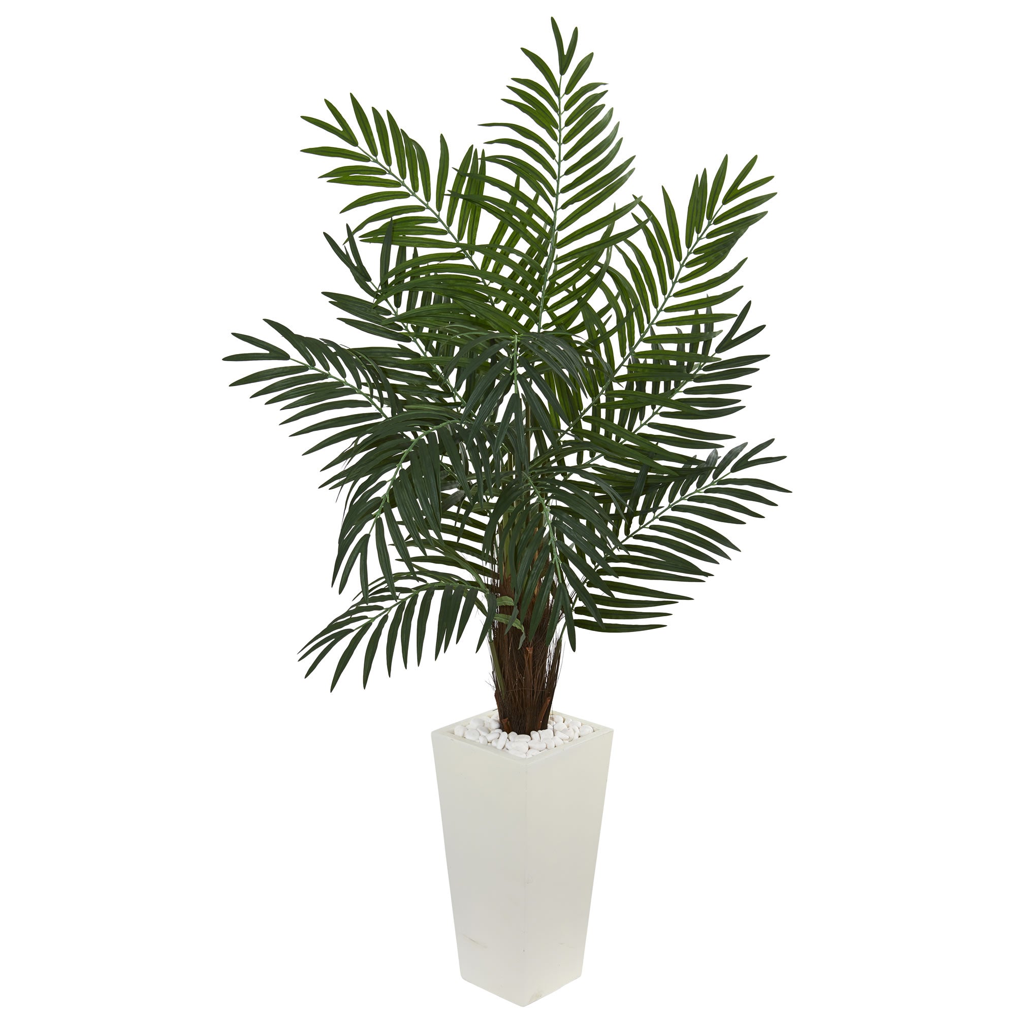 5.5' Areca Palm Tree in White Tower Planter