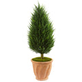 40" Cypress Tree Terracotta Planter UV Rst (Indoor/Outdoor)