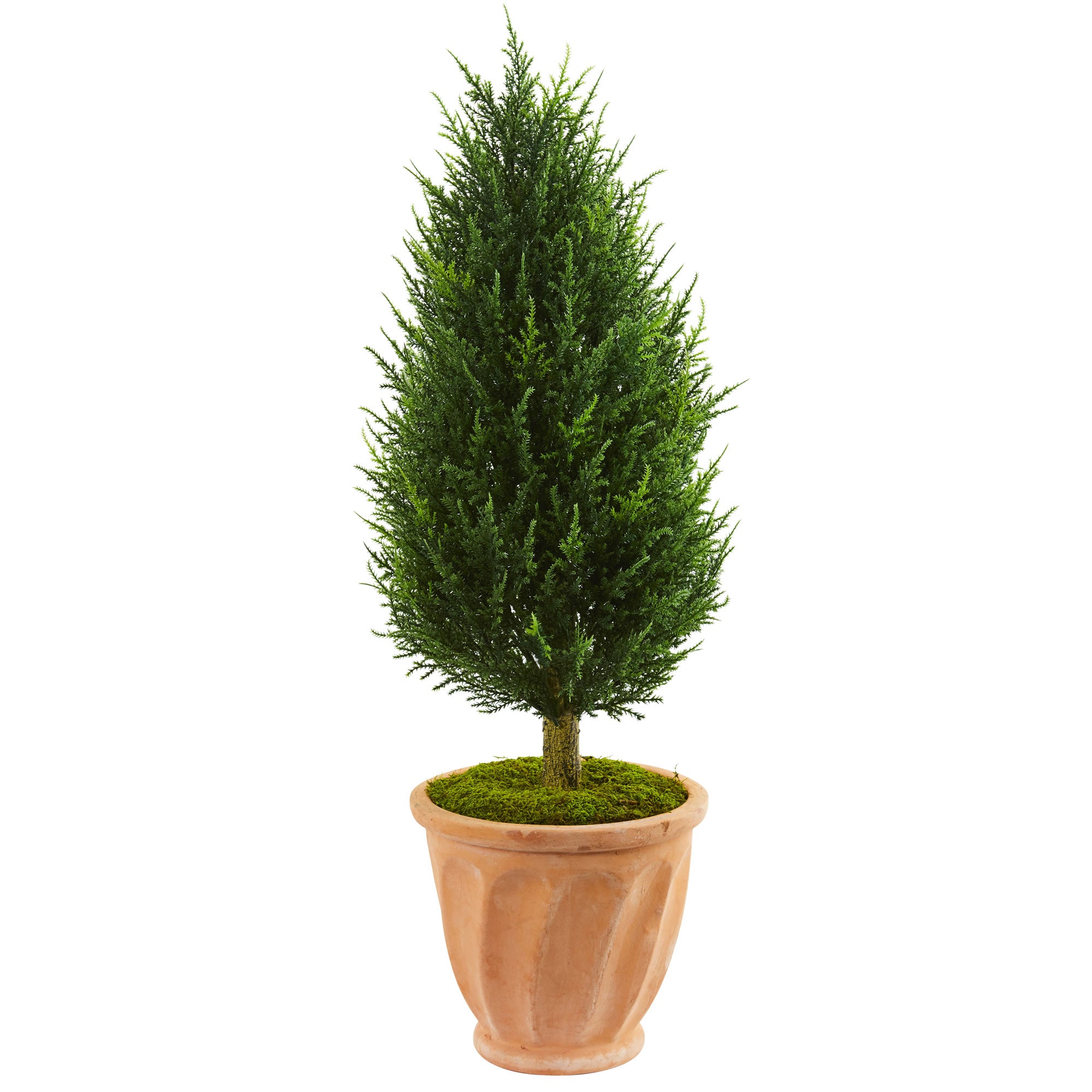 40" Cypress Tree Terracotta Planter UV Rst (Indoor/Outdoor)