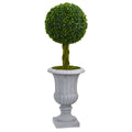 Braided Boxwood Tree in Urn UV Resistant (Indoor/Outdoor)