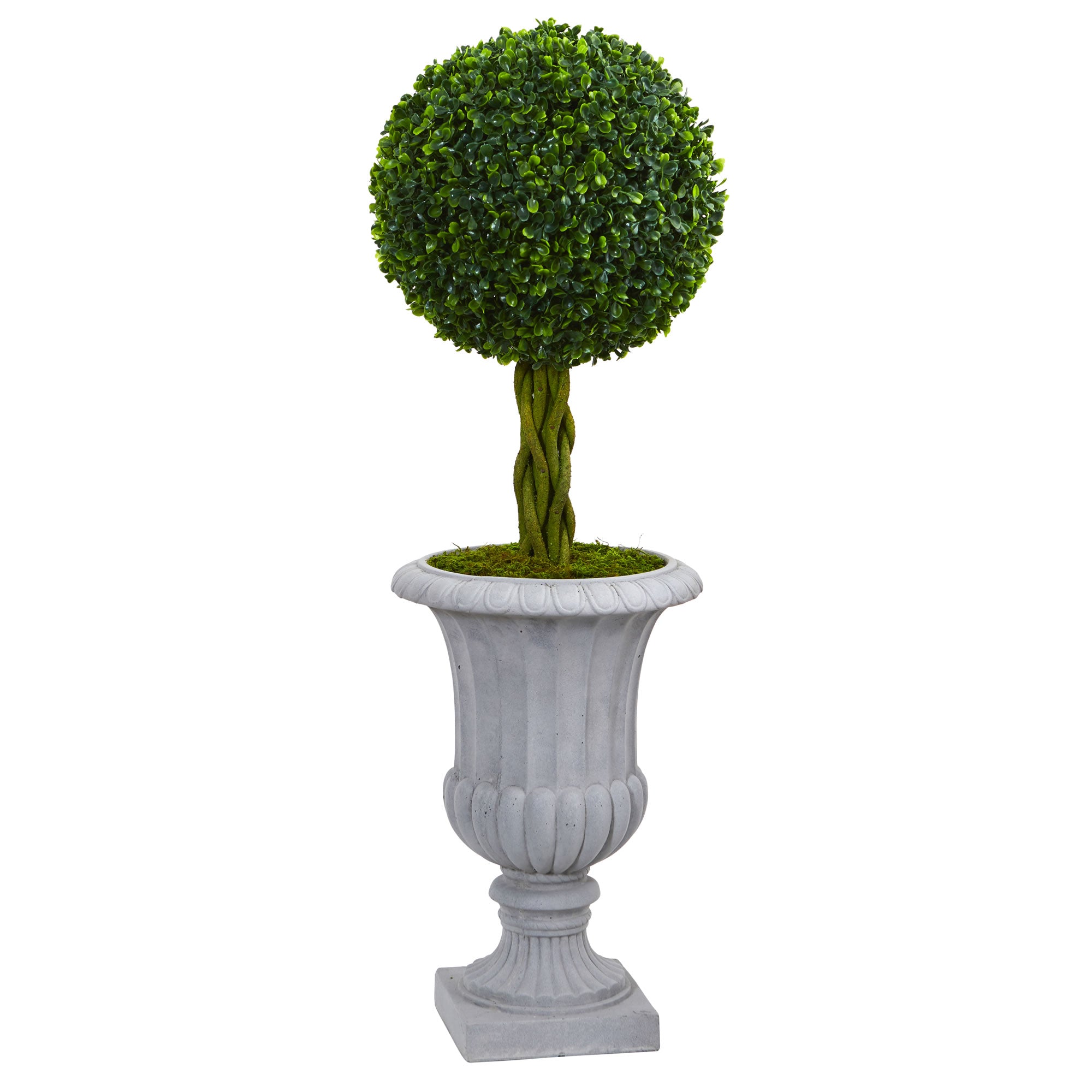 Braided Boxwood Tree in Urn UV Resistant (Indoor/Outdoor)