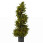 43" Cedar Spiral Topiary w/Lights