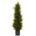 42" Cedar Tree