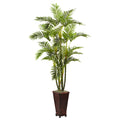 6.5' Areca w/Decorative Planter