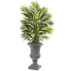 3.5' Bamboo Tree in Decorative Planter