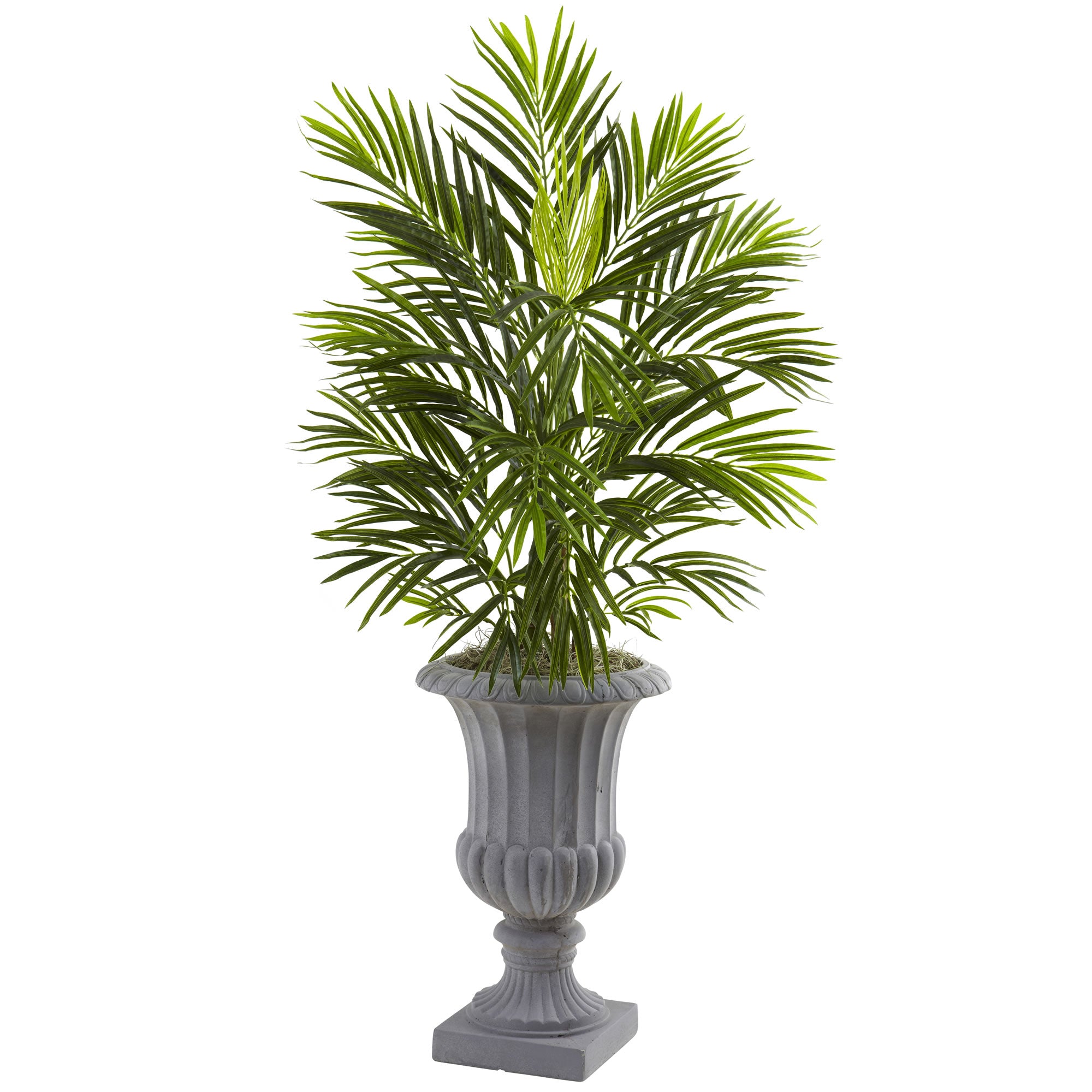 3.5' Bamboo Tree in Decorative Planter
