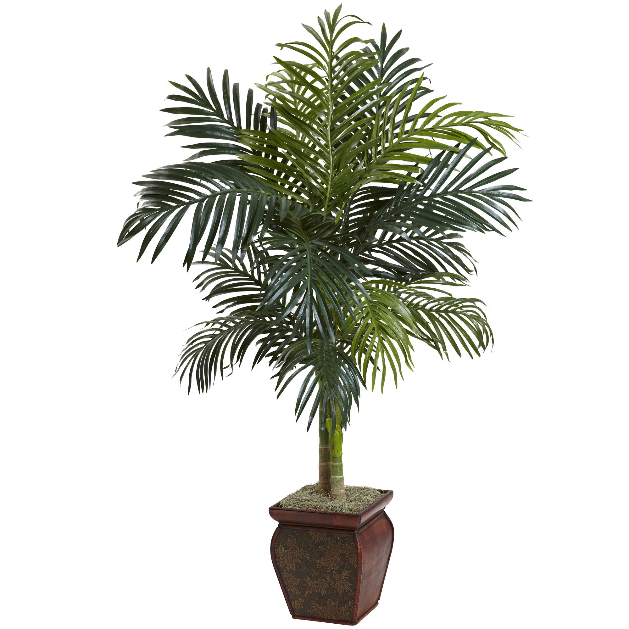 4.5' Golden Cane Palm w/Decorative Container