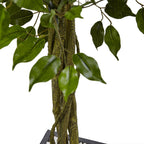 6.5' Ficus Tree with Slate Planter UV Resistant (Indoor Outd