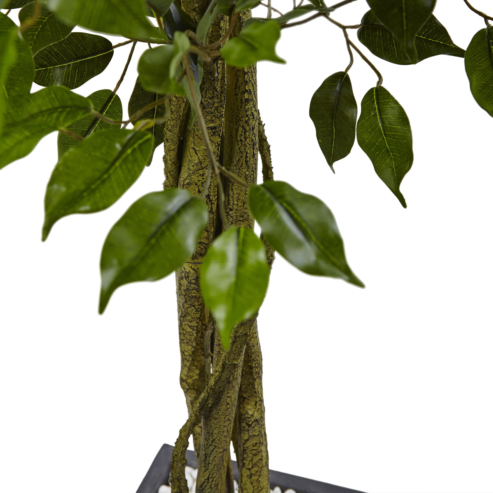 6.5' Ficus Tree with Slate Planter UV Resistant (Indoor Outd