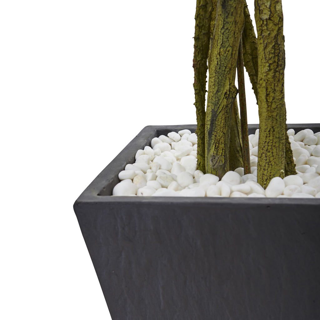 6.5' Ficus Tree with Slate Planter UV Resistant (Indoor Outd