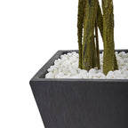 6.5' Ficus Tree with Slate Planter UV Resistant (Indoor Outd
