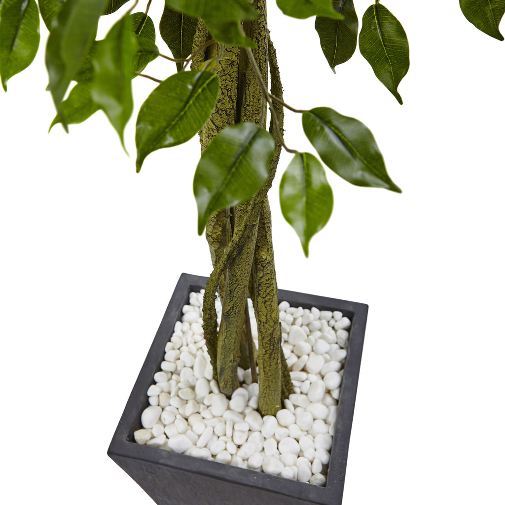 6.5' Ficus Tree with Slate Planter UV Resistant (Indoor Outd