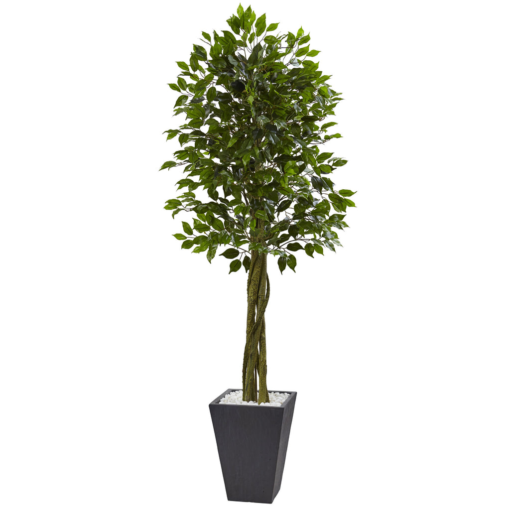 6.5' Ficus Tree with Slate Planter UV Resistant (Indoor Outd