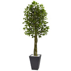 6.5' Ficus Tree with Slate Planter UV Resistant (Indoor Outd