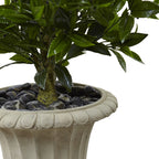 5.5' Triple Bay Leaf in Urn UV Resistant (Indoor/Outdoor)
