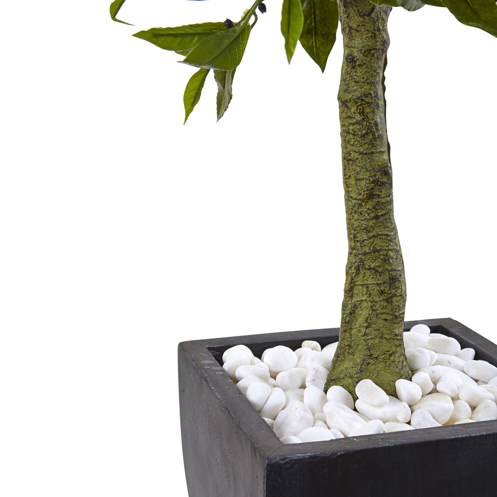 3.5' Bay Leaf Top w/Black Planter UV Rest (Indoor/Outdoor)