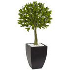 3.5' Bay Leaf Top w/Black Planter UV Rest (Indoor/Outdoor)