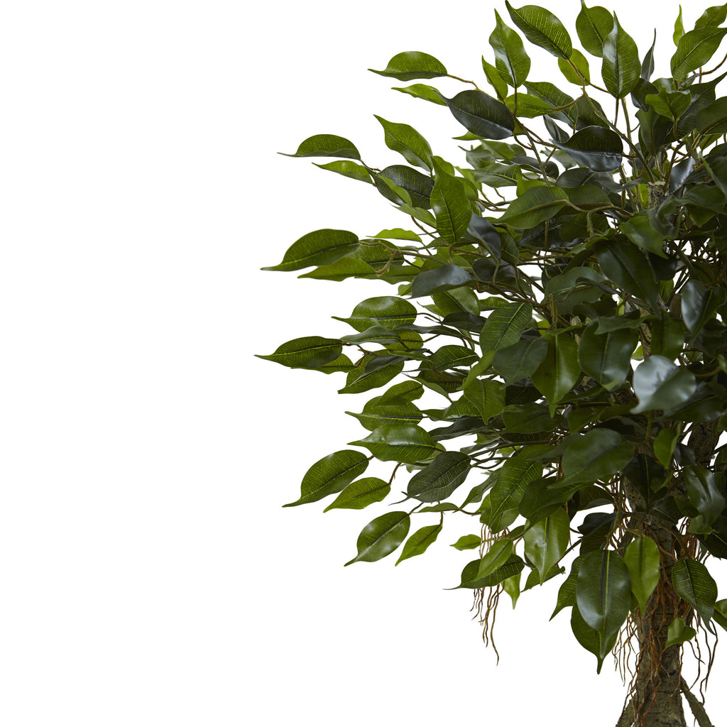 52" Ficus Tree with White Planter UV Resist (Indoor/Outdoor)