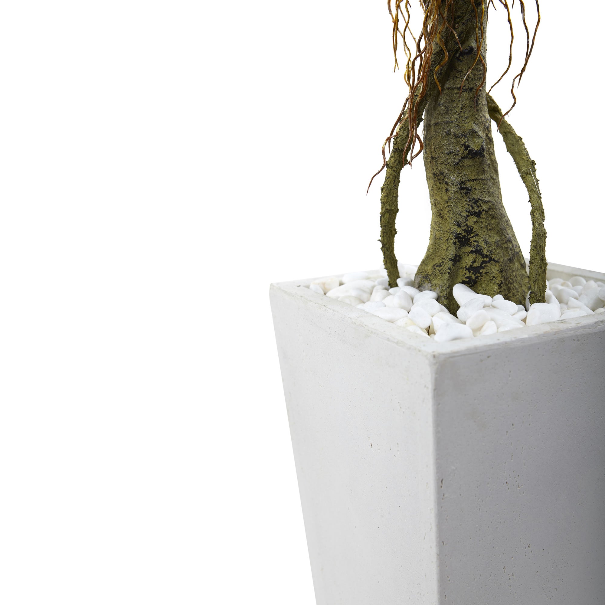 52" Ficus Tree with White Planter UV Resist (Indoor/Outdoor)
