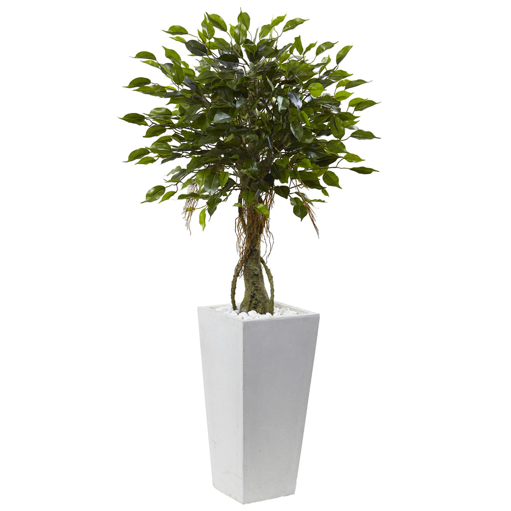 52" Ficus Tree with White Planter UV Resist (Indoor/Outdoor)