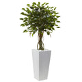 52" Ficus Tree with White Planter UV Resist (Indoor/Outdoor)