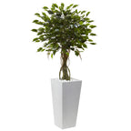 52" Ficus Tree with White Planter UV Resist (Indoor/Outdoor)