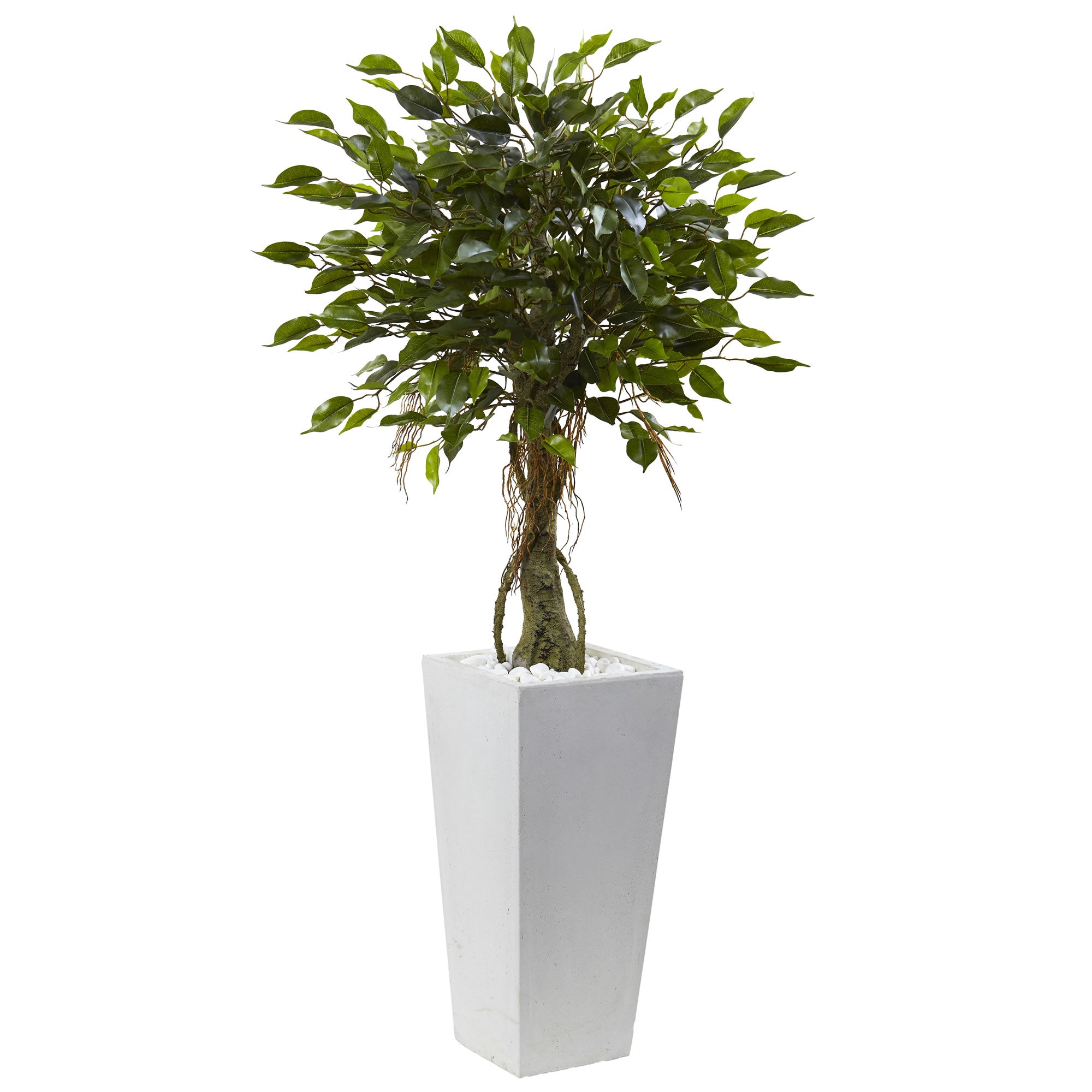 52" Ficus Tree with White Planter UV Resist (Indoor/Outdoor)