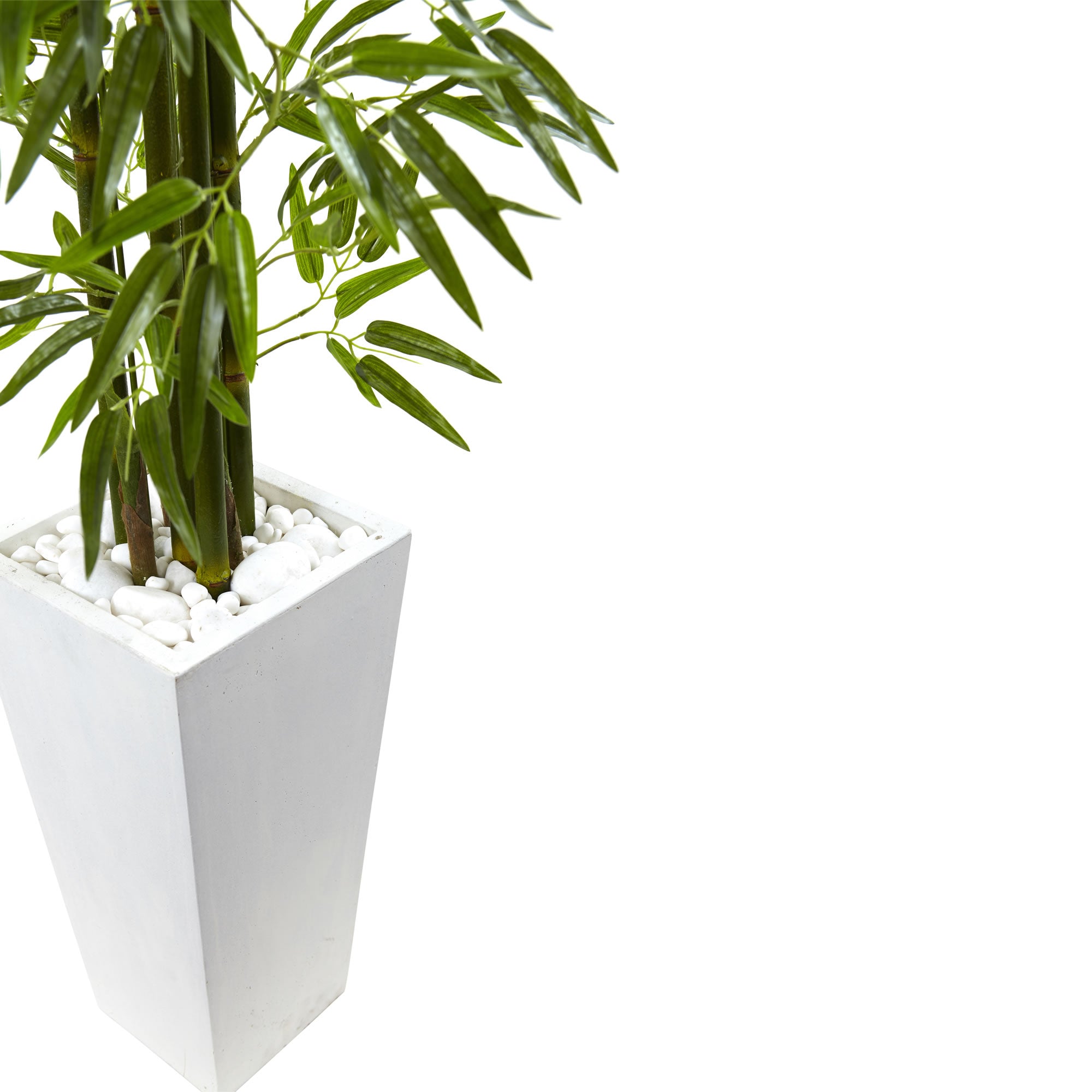 5' Bamboo Tree with White Planter UV Resist (Indoor/Outdoor)