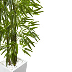 5' Bamboo Tree with White Planter UV Resist (Indoor/Outdoor)