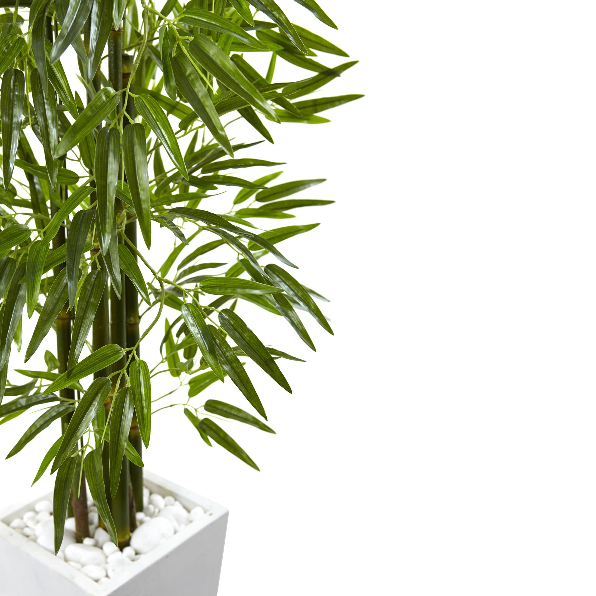 5' Bamboo Tree with White Planter UV Resist (Indoor/Outdoor)