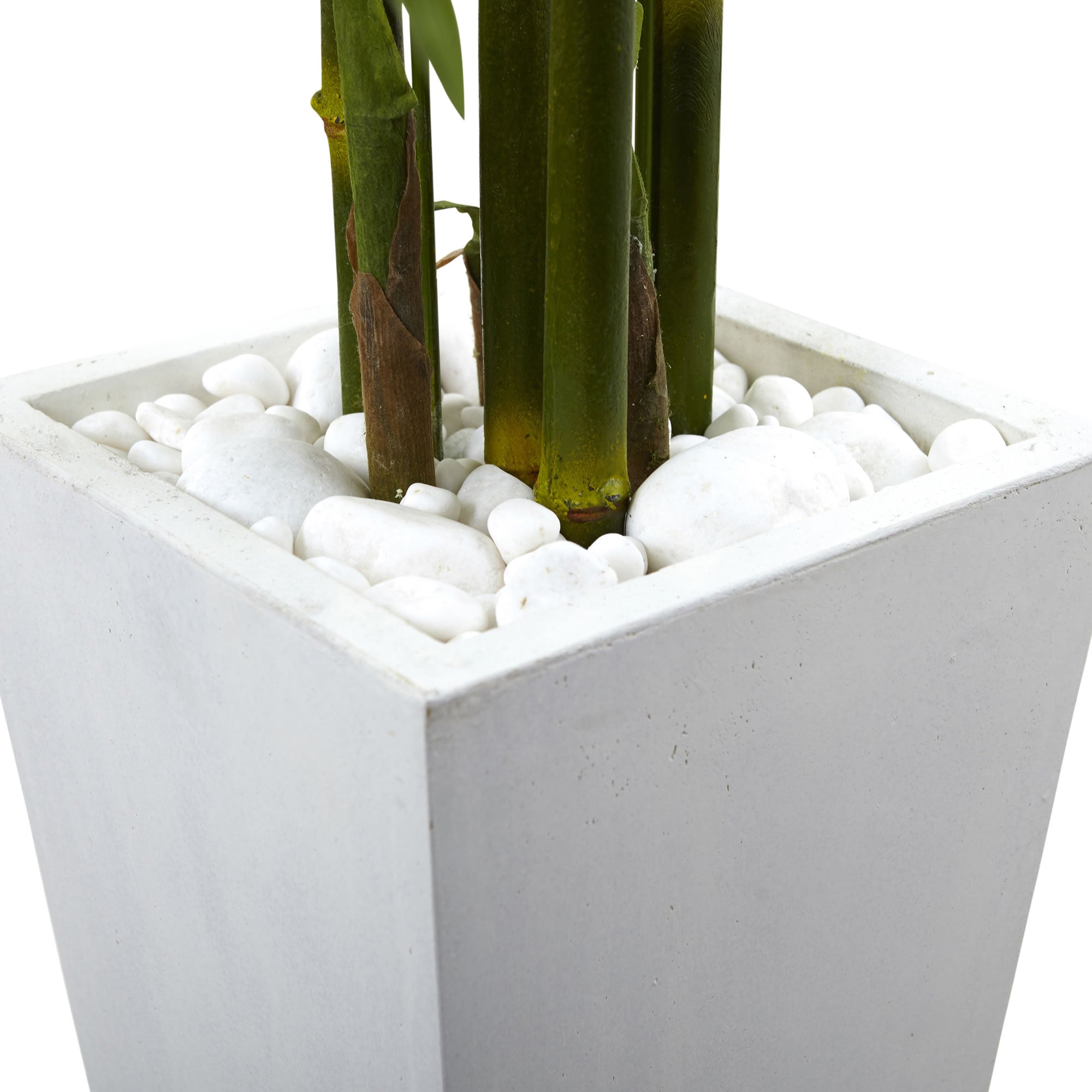 5' Bamboo Tree with White Planter UV Resist (Indoor/Outdoor)
