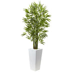 5' Bamboo Tree with White Planter UV Resist (Indoor/Outdoor)
