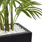 4.5' Areca Palm w/Black Planter UV Resist (Indoor/Outdoor)