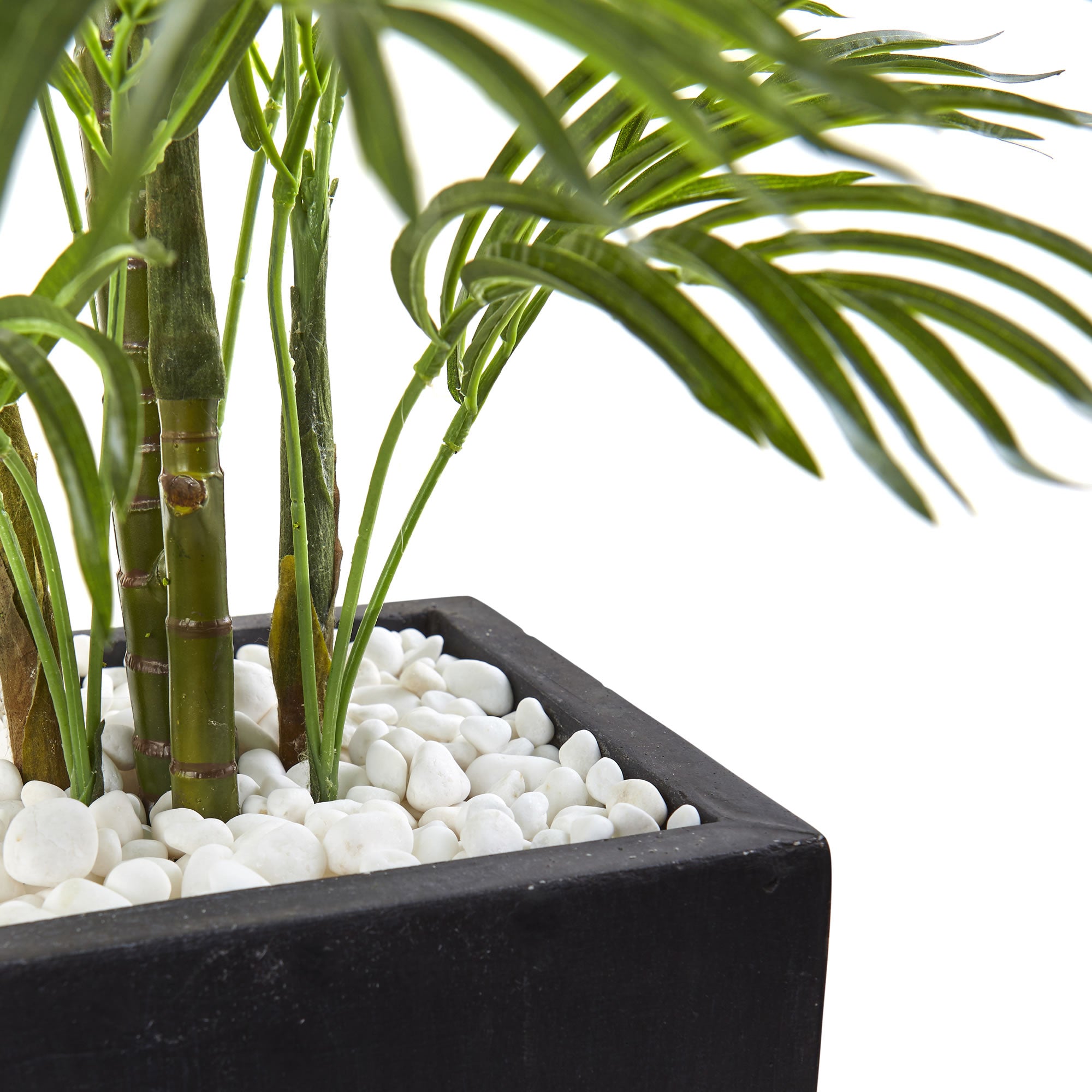 4.5' Areca Palm w/Black Planter UV Resist (Indoor/Outdoor)