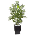 4.5' Areca Palm w/Black Planter UV Resist (Indoor/Outdoor)