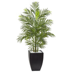 4.5' Areca Palm w/Black Planter UV Resist (Indoor/Outdoor)