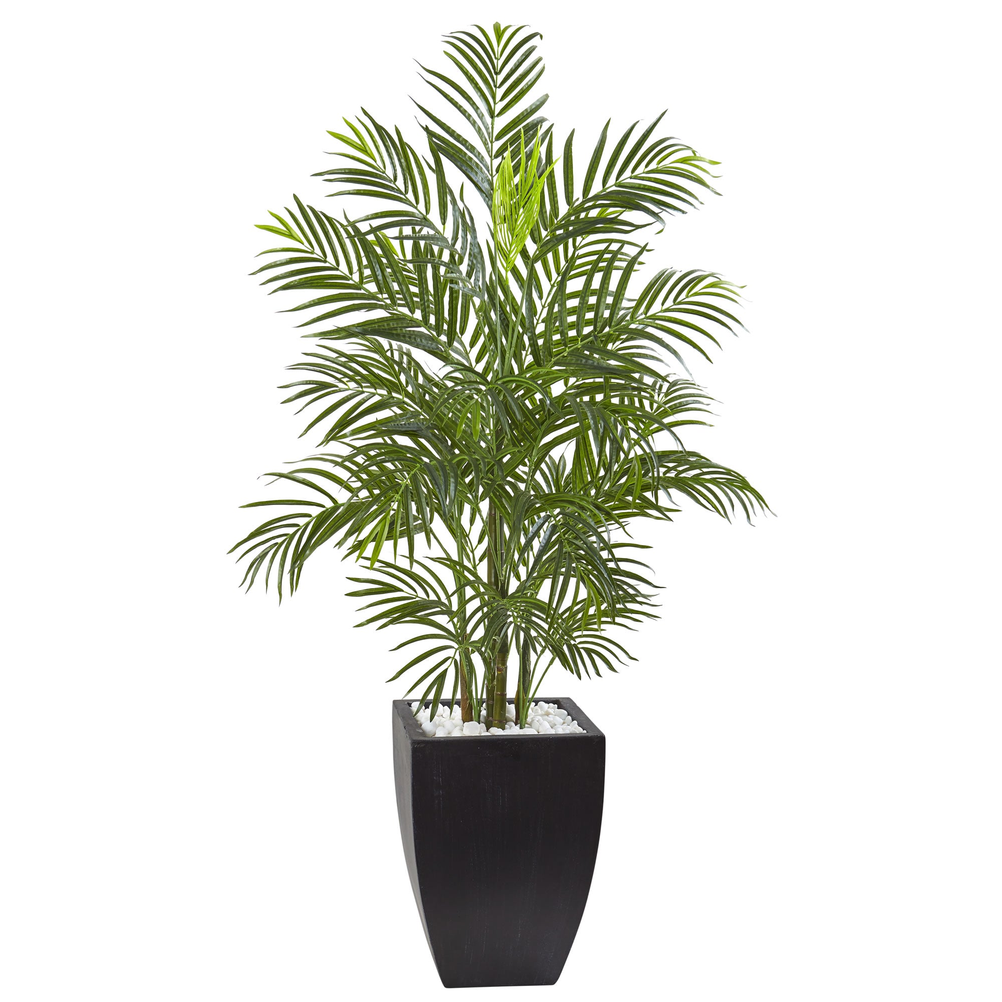 4.5' Areca Palm w/Black Planter UV Resist (Indoor/Outdoor)