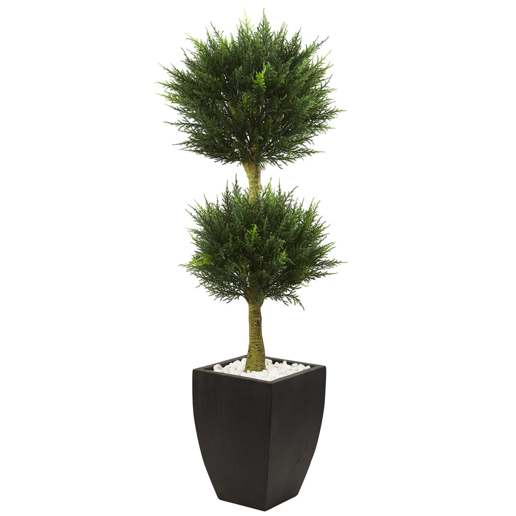 4.5' Cypress Top with Black Planter UV Rest (Indoor/Outdoor)