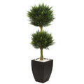 4.5' Cypress Top with Black Planter UV Rest (Indoor/Outdoor)