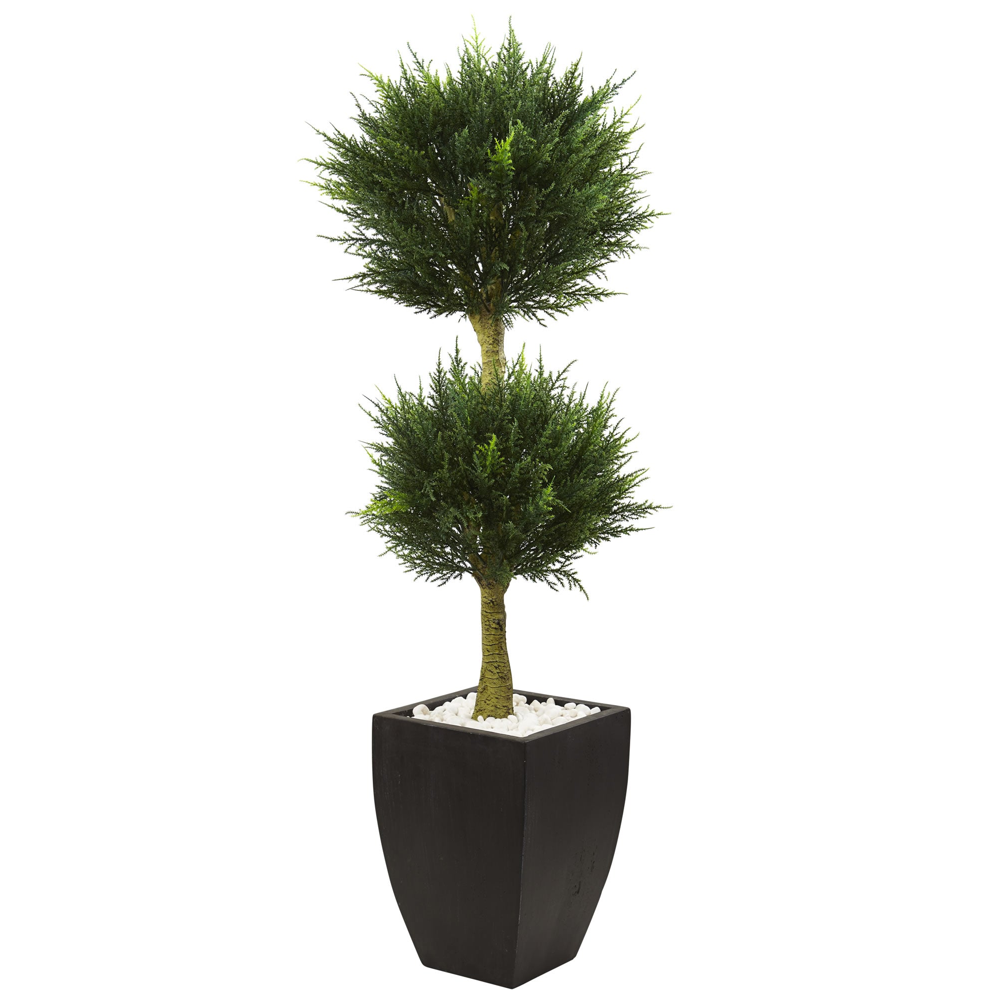 4.5' Cypress Top with Black Planter UV Rest (Indoor/Outdoor)