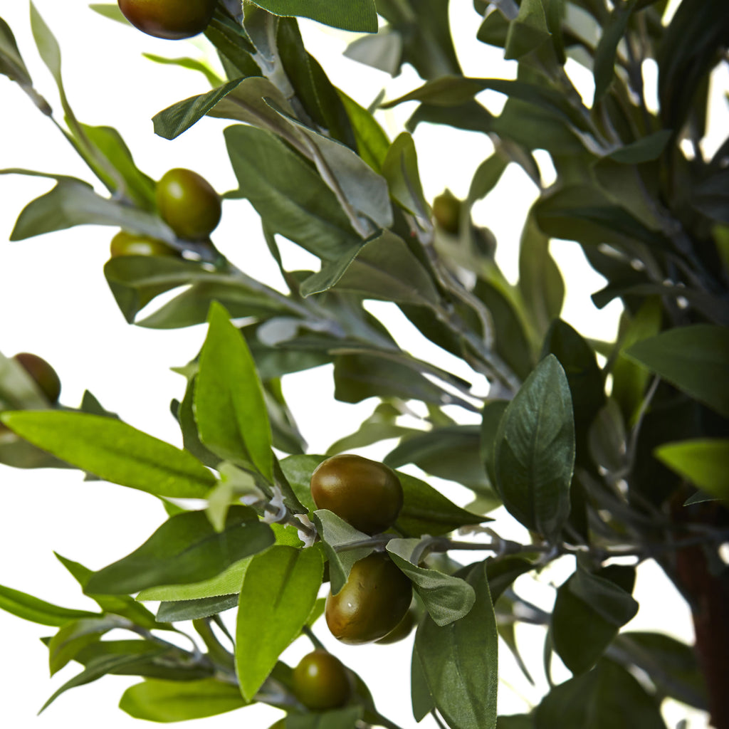 4.5' Olive Topiary Tree with Farmhouse Planter