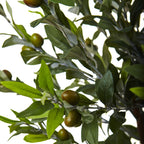 4.5' Olive Topiary Tree with Farmhouse Planter