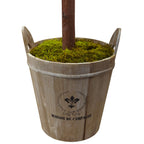 4.5' Olive Topiary Tree with Farmhouse Planter