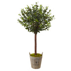 4.5' Olive Topiary Tree with Farmhouse Planter