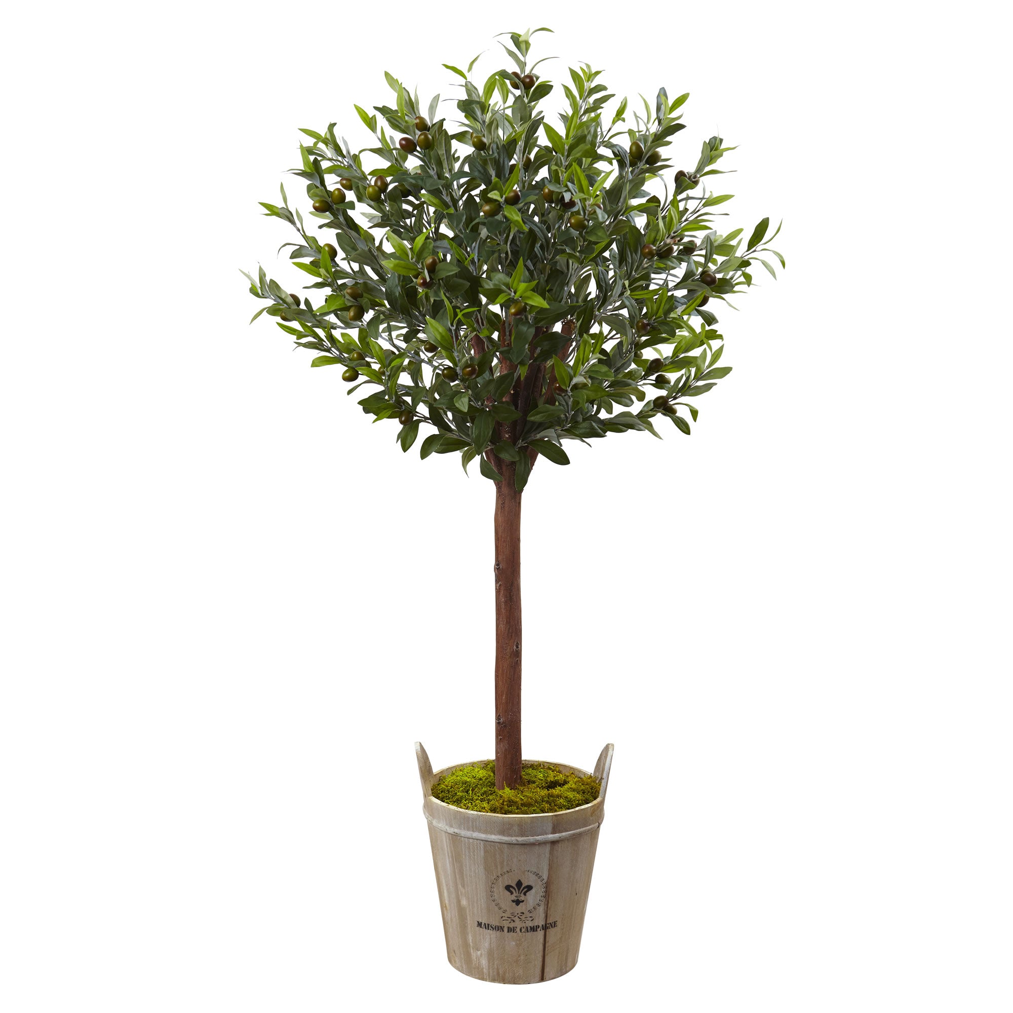4.5' Olive Topiary Tree with Farmhouse Planter